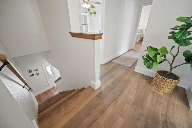 12025 Cherie Dr, Austin, TX 78758 - staircase featuring wood finished floors, baseboards, and ceiling fan