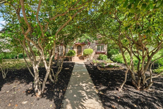 3406 Duval St, Austin, TX 78705 - photo 38
