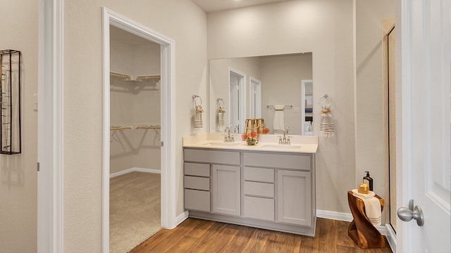 166 Caddo Bnd, Kyle, TX 78640 - full bathroom with double vanity, wood finished floors, a walk in closet, and baseboards