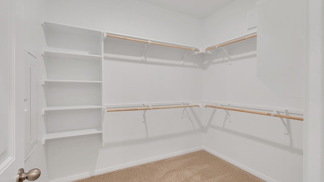 166 Caddo Bnd, Kyle, TX 78640 - walk in closet with carpet flooring