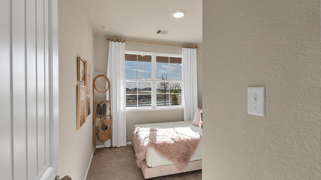 166 Caddo Bnd, Kyle, TX 78640 - carpeted bedroom with baseboards