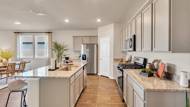166 Caddo Bnd, Kyle, TX 78640 - kitchen with stainless steel appliances, a sink, gray cabinets, light wood-type flooring, and recessed lighting