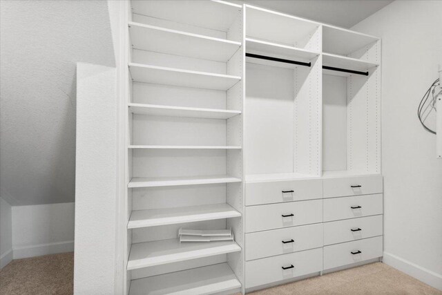 8103 Chrysler Bnd, Austin, TX 78744 - walk in closet with light carpet