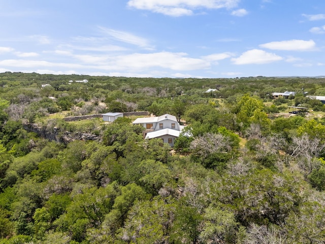 4200 Three Creek Trl, Spicewood, TX 78669 - photo 30