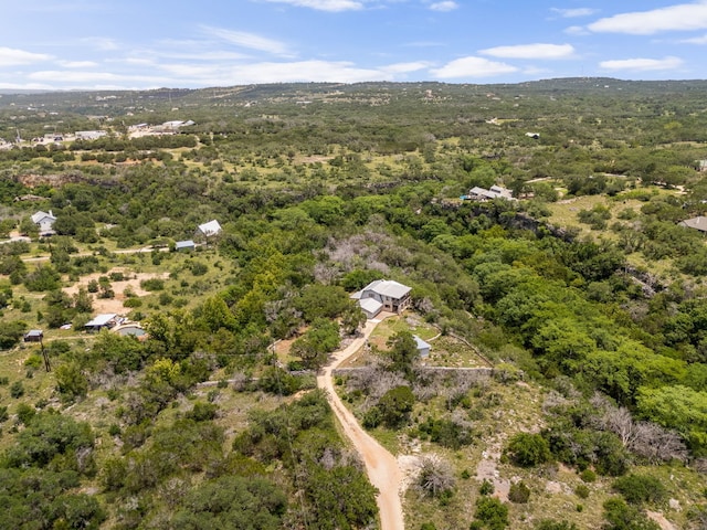 4200 Three Creek Trl, Spicewood, TX 78669 - photo 2