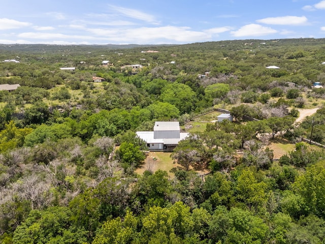 4200 Three Creek Trl, Spicewood, TX 78669 - photo 16