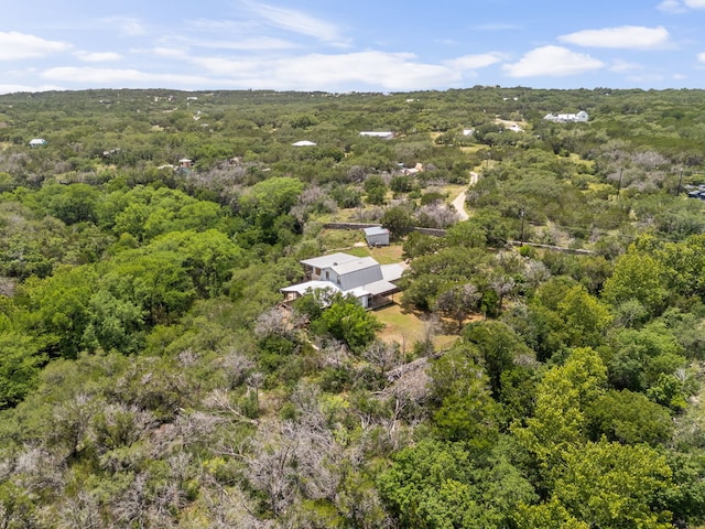 4200 Three Creek Trl, Spicewood, TX 78669 - photo 21