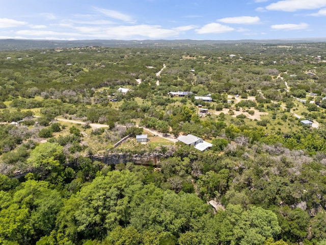 4200 Three Creek Trl, Spicewood, TX 78669 - photo 22