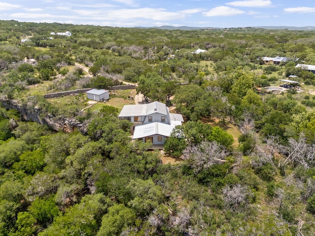 4200 Three Creek Trl, Spicewood, TX 78669 - photo 23