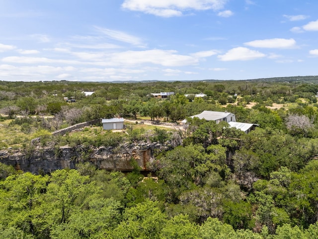 4200 Three Creek Trl, Spicewood, TX 78669 - photo 24