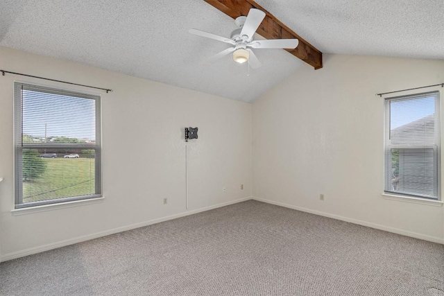313 Rawhide Loop, Round Rock, TX 78681 - photo 11