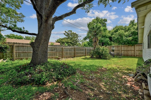 3304 Whitepine Dr, Austin, TX 78757 - view of fenced backyard