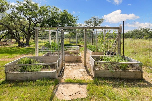281 Kendall Jackson, Comfort, TX 78013 - view of yard with a vegetable garden