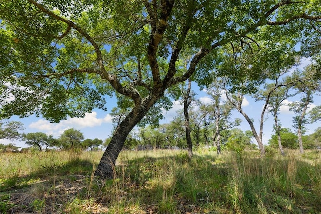 281 Kendall Jackson, Comfort, TX 78013 - view of local wilderness