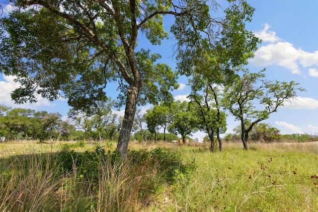 281 Kendall Jackson, Comfort, TX 78013 - view of local wilderness