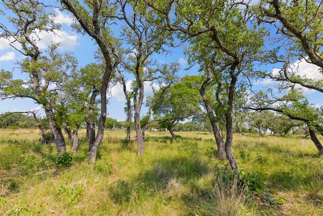 281 Kendall Jackson, Comfort, TX 78013 - view of nature