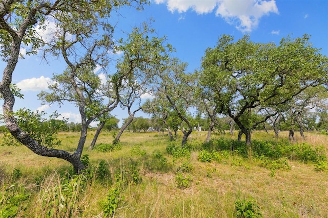 281 Kendall Jackson, Comfort, TX 78013 - view of local wilderness
