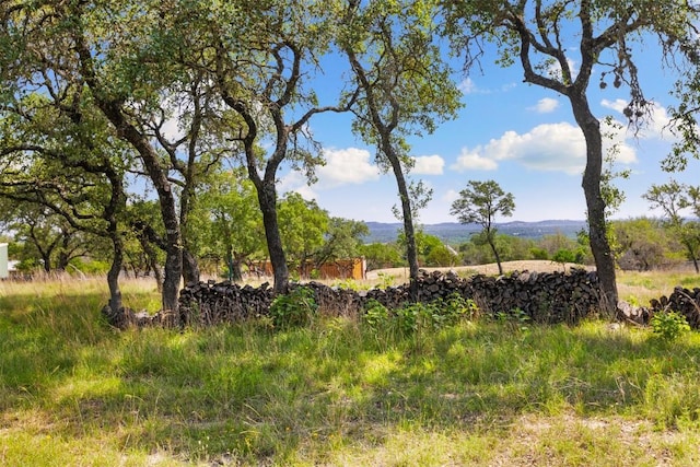 281 Kendall Jackson, Comfort, TX 78013 - view of local wilderness with a mountainous background