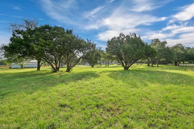 322 Mesa Oaks, Leander, TX 78641 - view of yard