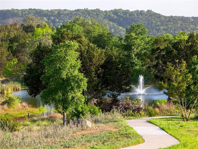400 Saturnia Dr, Georgetown, TX 78613 - view of community featuring a water view and a view of trees