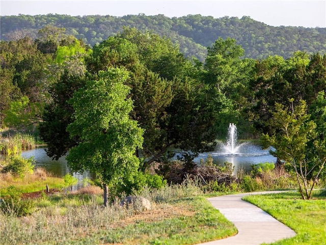 400 Saturnia Dr, Georgetown, TX 78613 - photo 39
