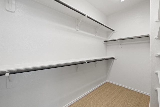 400 Saturnia Dr, Georgetown, TX 78613 - spacious closet with light colored carpet