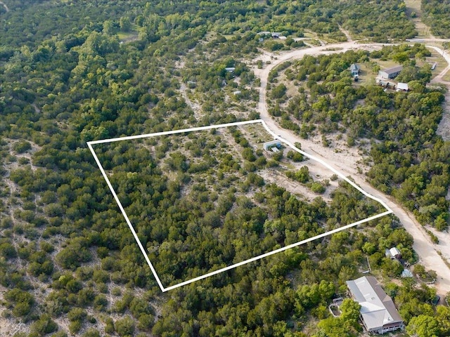 1227 Bonita Dr, Blanco, TX 78606 - photo 2