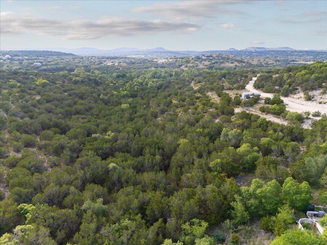 1227 Bonita Dr, Blanco, TX 78606 - photo 7