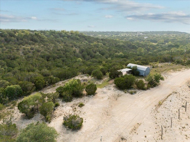 1227 Bonita Dr, Blanco, TX 78606 - photo 8
