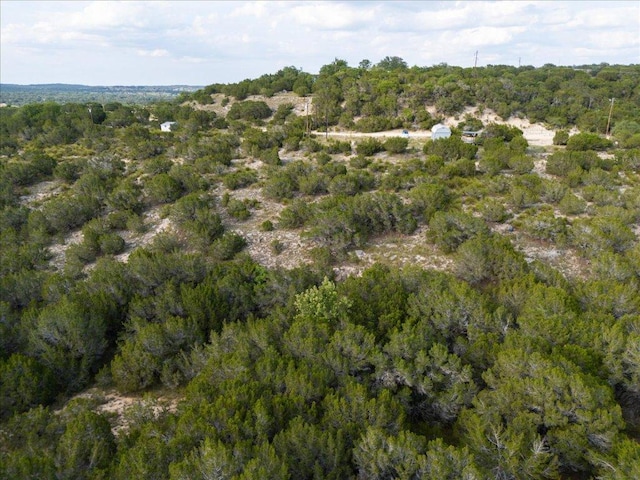 1227 Bonita Dr, Blanco, TX 78606 - photo 9