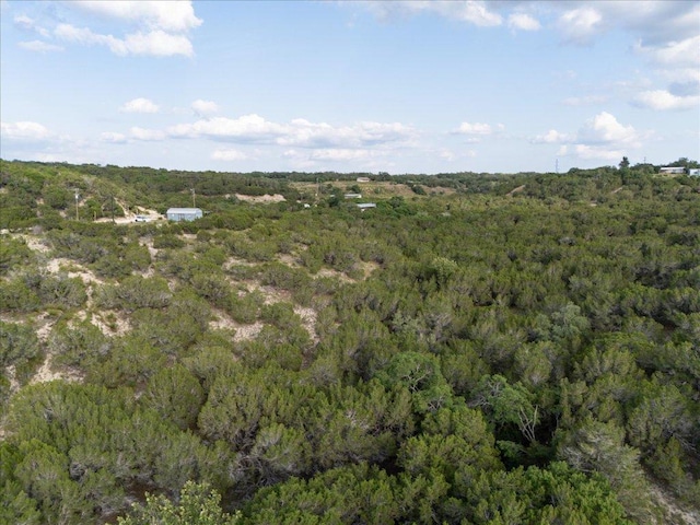 1227 Bonita Dr, Blanco, TX 78606 - photo 10