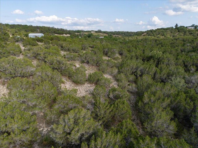 1227 Bonita Dr, Blanco, TX 78606 - photo 11