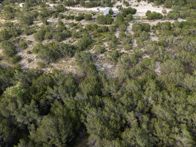 1227 Bonita Dr, Blanco, TX 78606 - photo 12