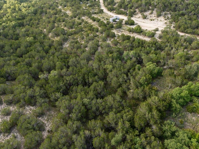 1227 Bonita Dr, Blanco, TX 78606 - photo 13