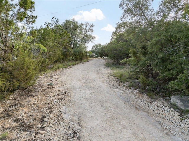 1227 Bonita Dr, Blanco, TX 78606 - photo 22