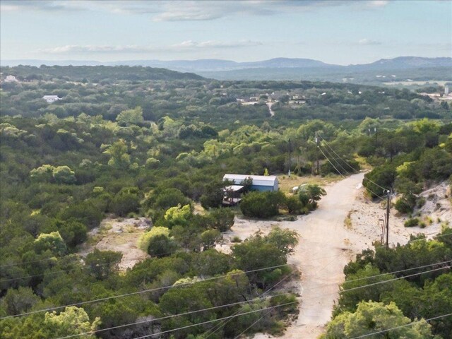 1227 Bonita Dr, Blanco, TX 78606 - photo 23