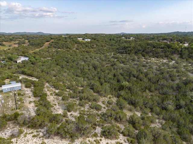 1227 Bonita Dr, Blanco, TX 78606 - photo 24
