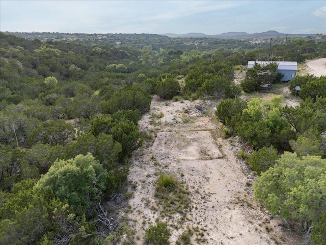 1227 Bonita Dr, Blanco, TX 78606 - photo 16