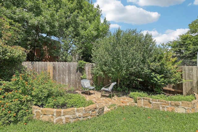 1312 Ravensbrook Bnd, Cedar Park, TX 78613 - view of yard