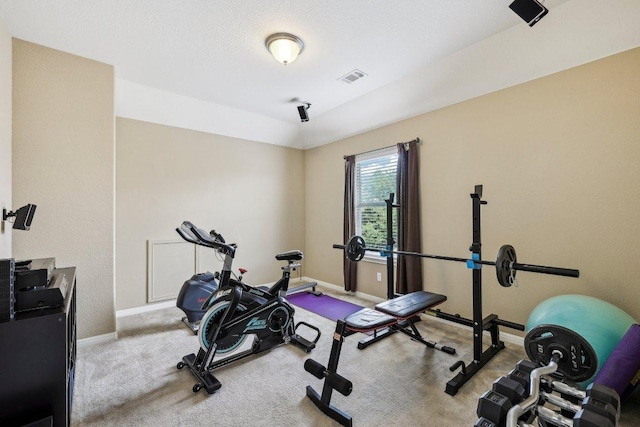 1312 Ravensbrook Bnd, Cedar Park, TX 78613 - workout room with baseboards and carpet floors
