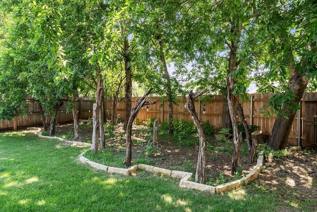 1604 Roundup Trl, Round Rock, TX 78681 - photo 29