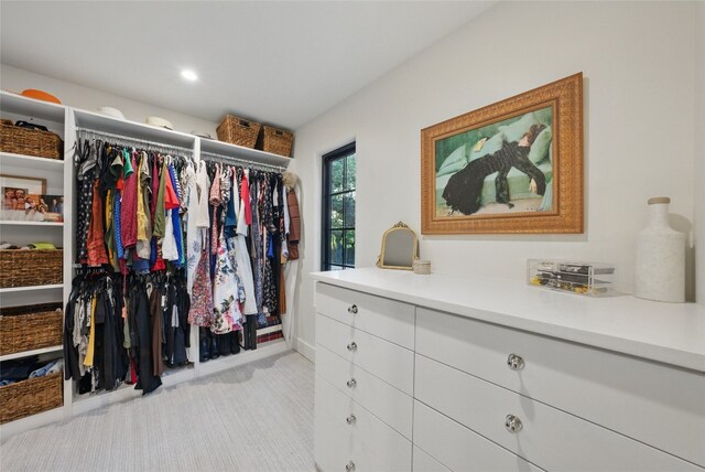 12203 Trailmaster Dr, Austin, TX 78737 - spacious closet with light carpet