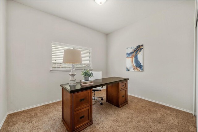 317 Greener Dr, Leander, TX 78641 - photo 21