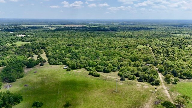 2876 Grant Prairie Rd Unit 75.7, Acres Franklin, TX 77856 - photo 3