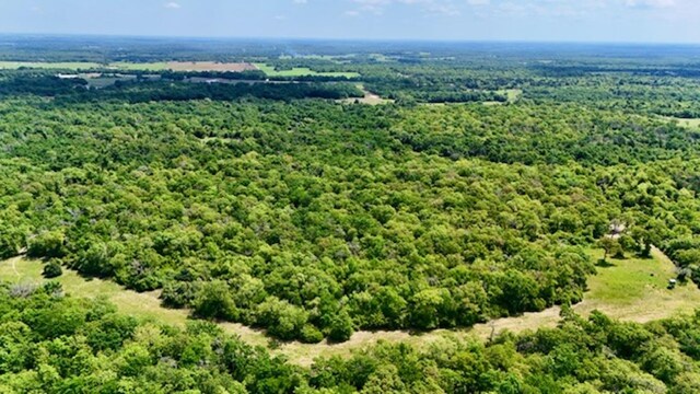 2876 Grant Prairie Rd Unit 75.7, Acres Franklin, TX 77856 - photo 4