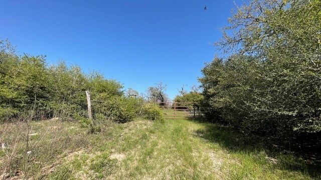 2876 Grant Prairie Rd Unit 75.7, Acres Franklin, TX 77856 - photo 5