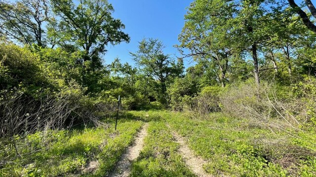 2876 Grant Prairie Rd Unit 75.7, Acres Franklin, TX 77856 - photo 12