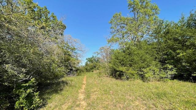 2876 Grant Prairie Rd Unit 75.7, Acres Franklin, TX 77856 - photo 13