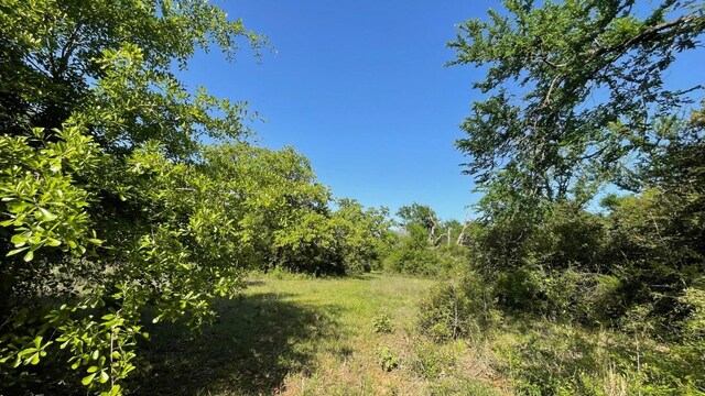 2876 Grant Prairie Rd Unit 75.7, Acres Franklin, TX 77856 - photo 14
