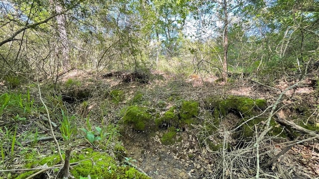 2876 Grant Prairie Rd Unit 75.7, Acres Franklin, TX 77856 - photo 15